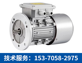三相異步電機【技術服務：153-7058-2975】